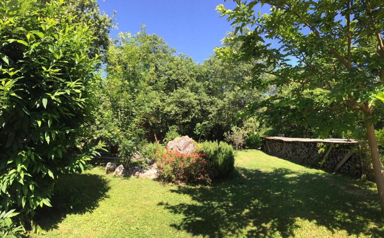 Ecolodge Les Sentiers Du Lac - Domaine De La Gaia Sorèze Eksteriør billede